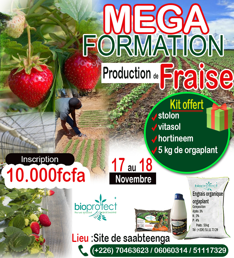 Affiche Formation Fraise